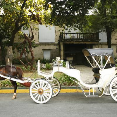 a person riding a horse drawn carriage