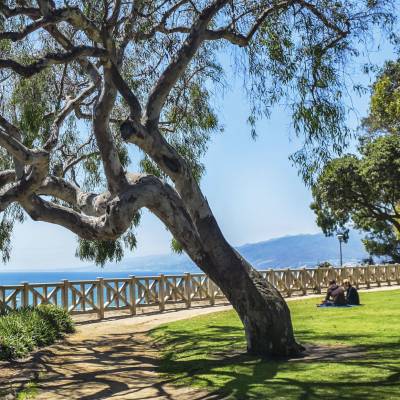 Palisades Park