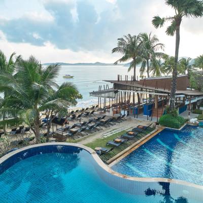 a group of palm trees next to a pool of water