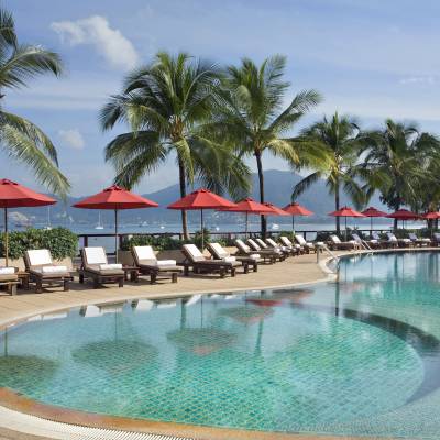 a row of palm trees next to a swimming pool