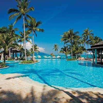 a group of palm trees next to a swimming pool