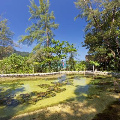 Coral nursery