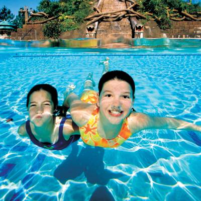 a group of people swimming in a pool of water