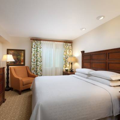 a bedroom with a large bed in a hotel room