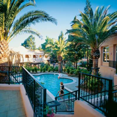 a pool next to a palm tree