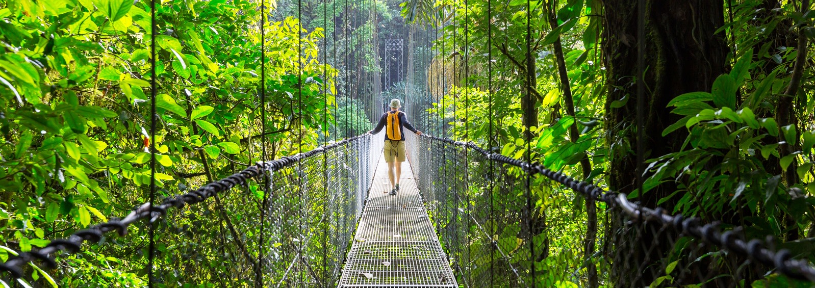 Enchanting Travels Central America Tours Hiking in green tropical jungle, Costa Rica best time to visit Central America