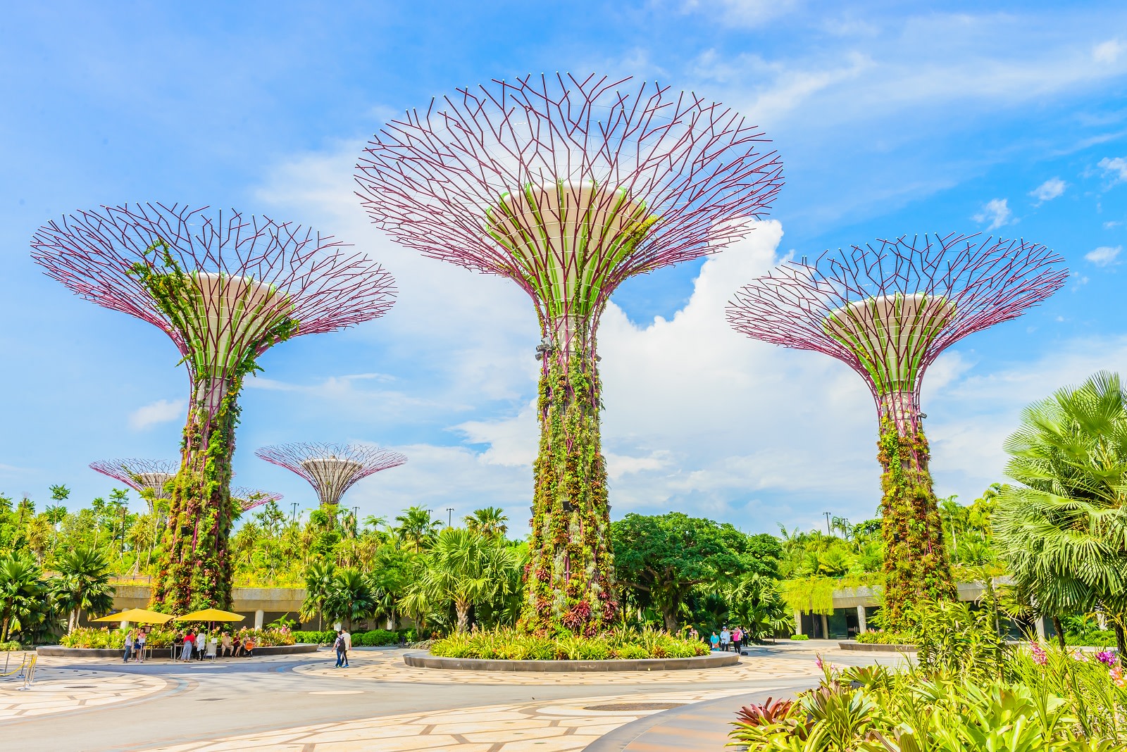 Enchanting Travels Asia Tours Singapore TourismGarden by the bay at singapore Enchanting Travels Asia Tours Singapore TourismGarden by the bay at singapore
