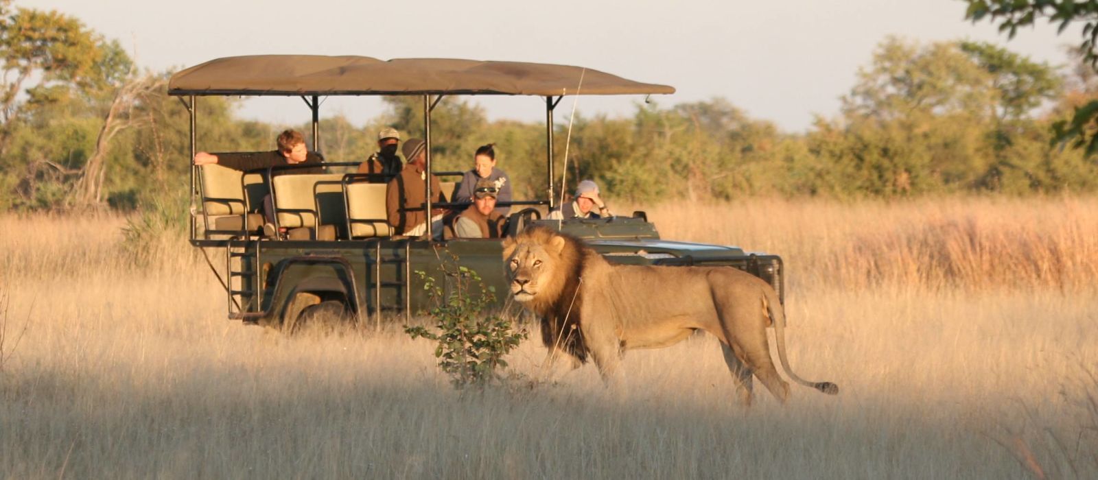 The Best Ever Luxury Safari Tours in Zimbabwe | Enchanting ...