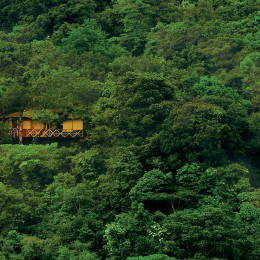 Asia Tours India Wayanad Vythiri Resort house