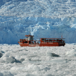 Cruise in Chile: A Glacial Adventure