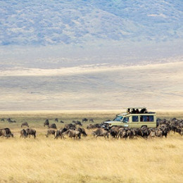 things to do in tanzania