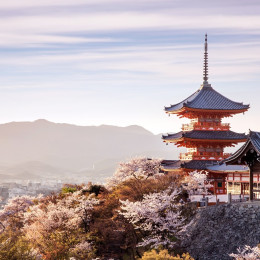 Kyoto in spring