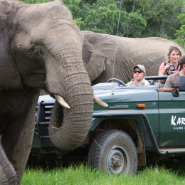 South Africa travel guide