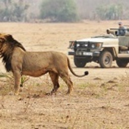 things to do in tanzania
