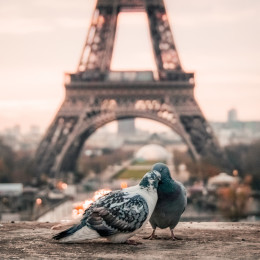 Everyday culture of France