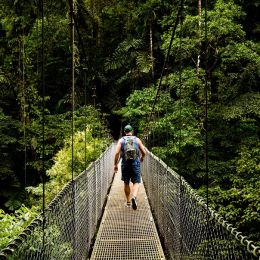 Baumkronenpfad im Monteverde Nebelwald