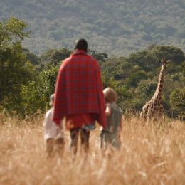 Go on a nature walk to spot animals