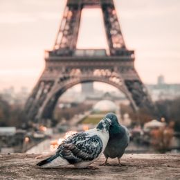 Everyday culture of France
