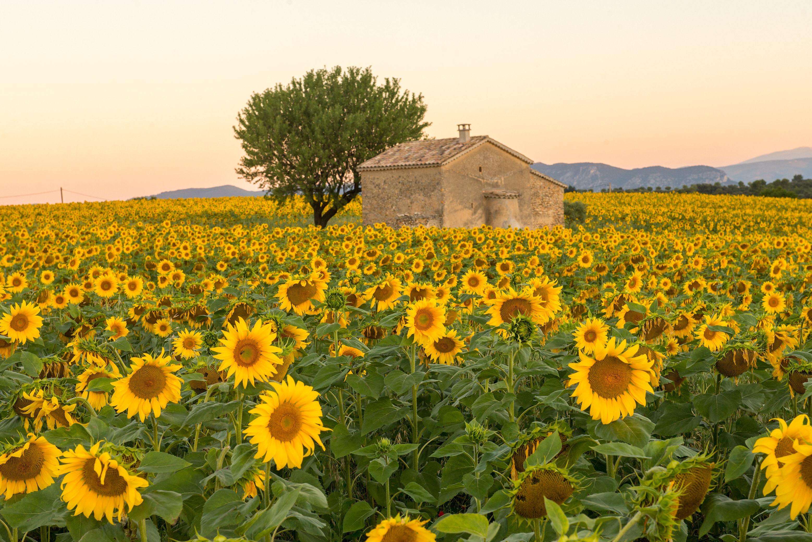 Best time to visit France