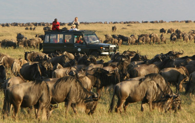 Safari-Gänger im Geländewagen inmitten riesiger Gnu-Herde in Kenia