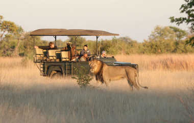 The Best Ever Luxury Safari Tours in Zimbabwe