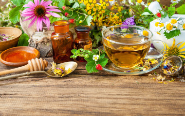Herbal Kit, Expert Travel Advice