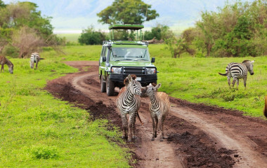Best time to Travel to Tanzania Africa Safari tour
