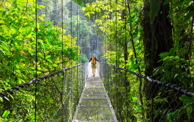 Regenwald Costa rica