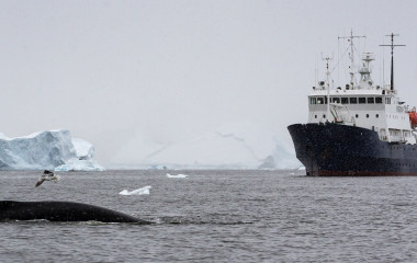 Enchanting Travels Antarctica Tours A humpback whale