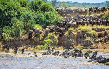 Our Pick: Five Enchanting Great Migration Camps