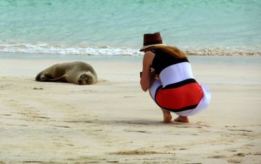 Frau im Kleid kniet am Strand und fotografiert eine Robbe auf den Galapagos-Inseln in Ecuador