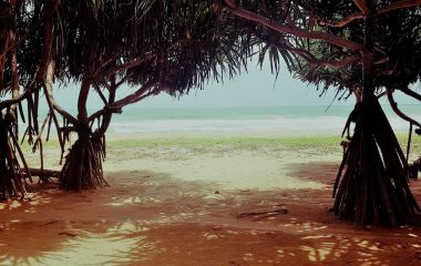 Enchanting Travels - Sri Lanka Reisen - Lotus Villa Ayurveda Retreat - Strand