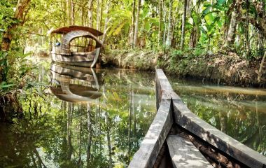 Mit dem Boot die Natur in Indien erkunden