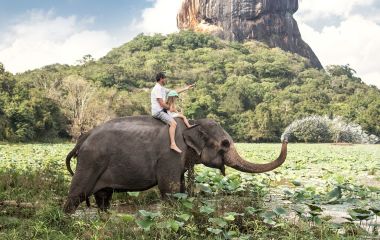 The perfect Sri Lankan elephant trip: animals and nature