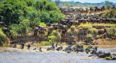 Our Pick: Five Enchanting Great Migration Camps