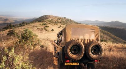 Wild & Tranquil Africa Game Safaris in Kenya Uncovered