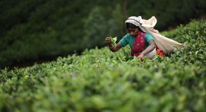 The Magic Of Masala Chai – What Makes The Perfect Cup