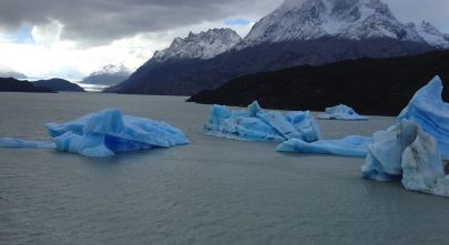 A Chilean Adventure: From Penguins to Vineyards