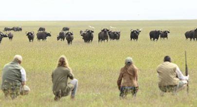 Walking Safari Animals