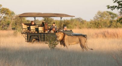The Best Ever Luxury Safari Tours in Zimbabwe