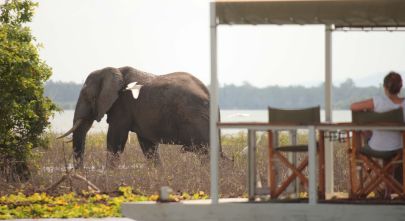 Your Day on Safari in Africa