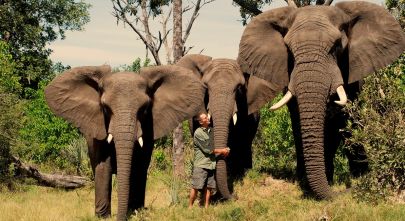 Botswana safari tour