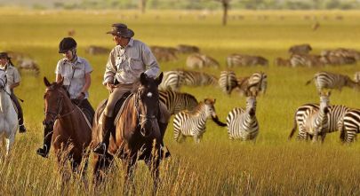 serengeti-national-park-zebras