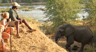 Tanzania safari: North or South?