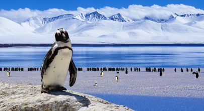highlights of Antarctica