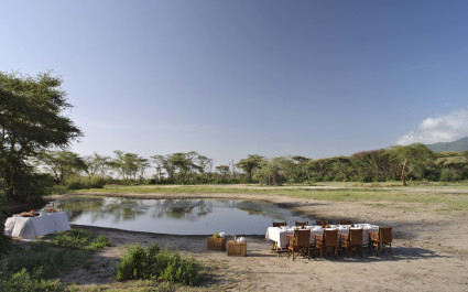 Dinner at waterhole, Tanzania