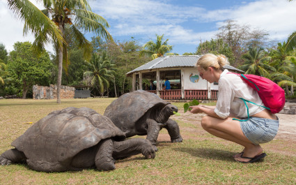 Seychelles safety - Female tourist woman feeding old Aldabra giant tortoises in National Marine Park on Curieuse island, Praslin, Seychelles, Africa - Seychelles travel guide