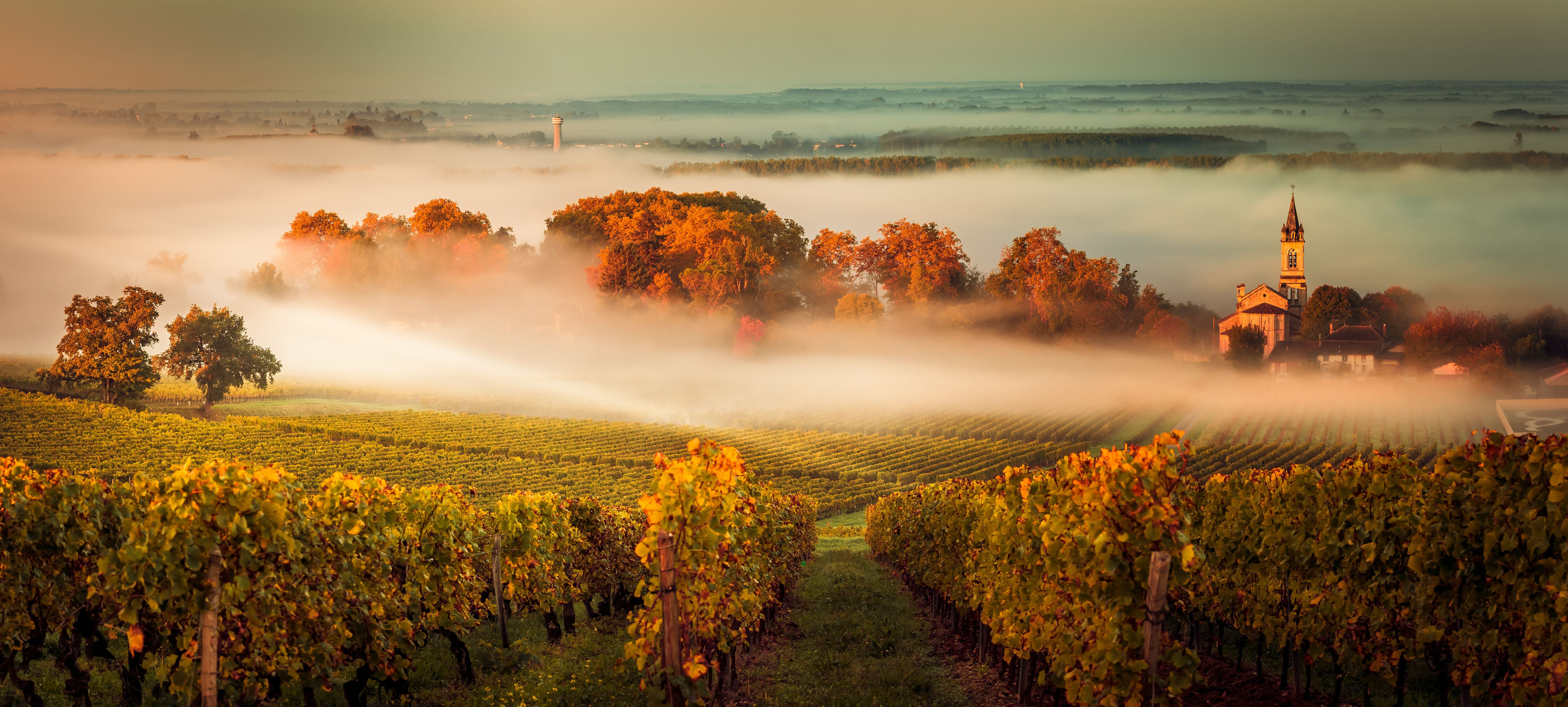 Enchanting Travels France Tours Sunset landscape and smog in bordeaux wineyard france, europe France Travel Guide
