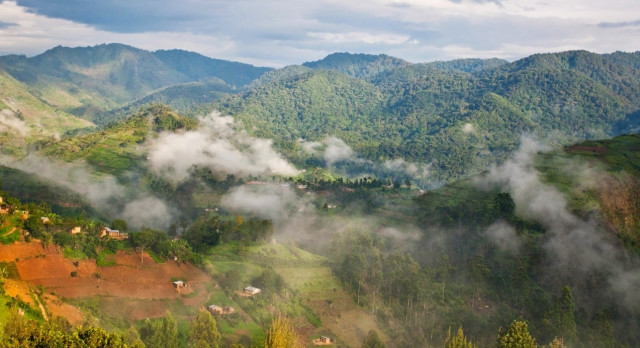 Bergpanorama in Bwindi, Uganda