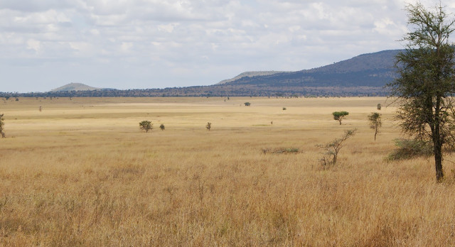 Exterior view at Nieleze Serengeti Camp, Tanzania